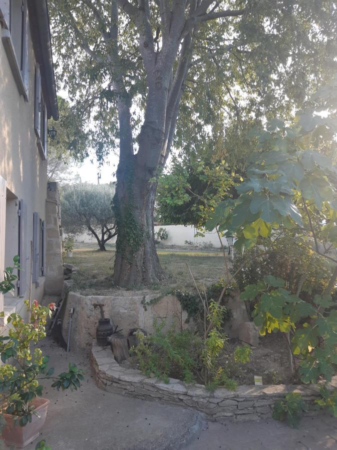 La Cartagene - Chambre Double Calvisson Exteriör bild